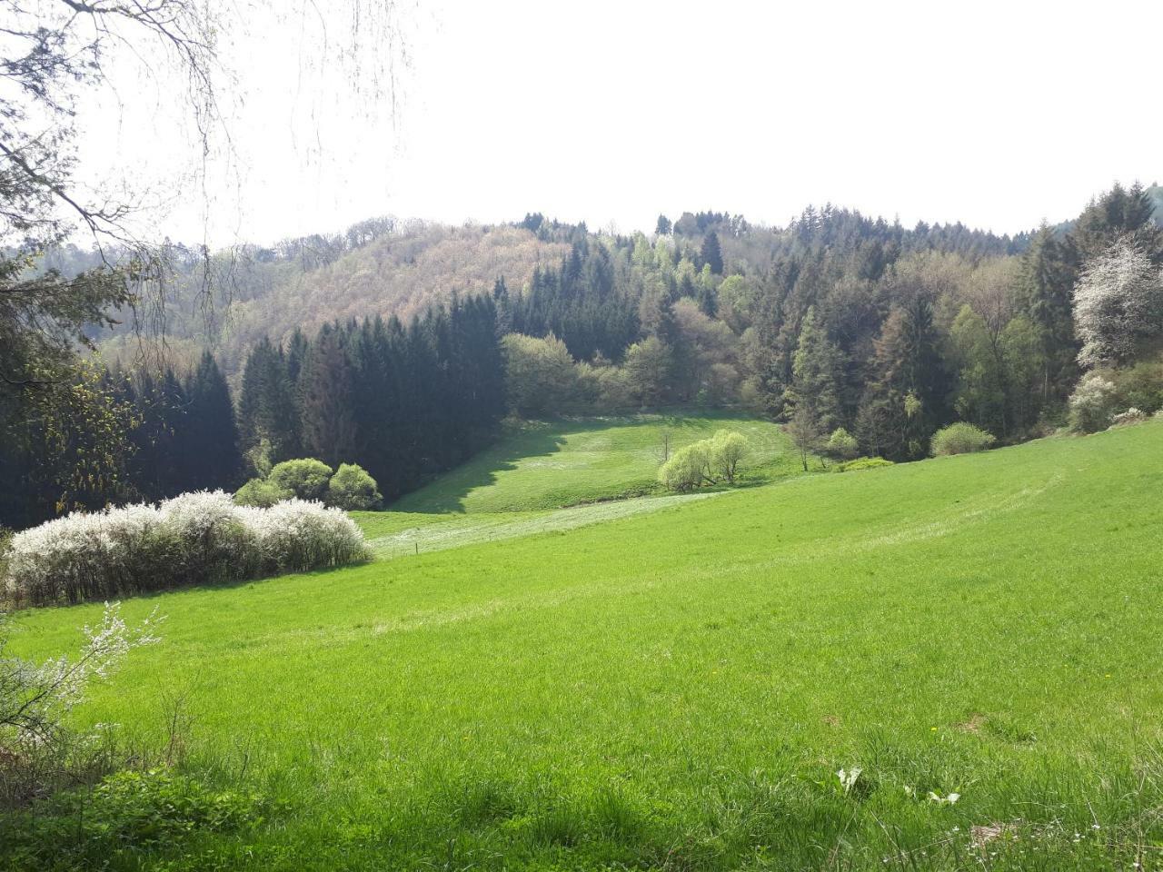 Herberg Die Alte Schleuse Hotel Manderscheid Exterior foto